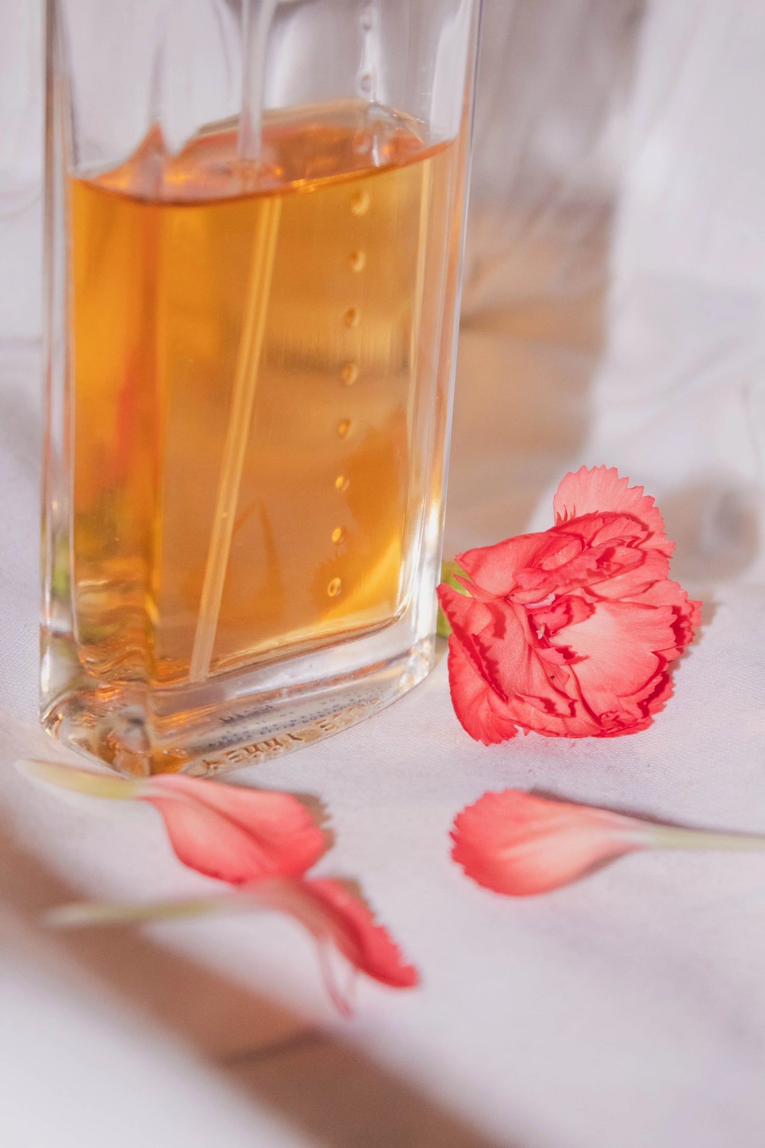 Best Long-Lasting Perfume for Women in India (2026)