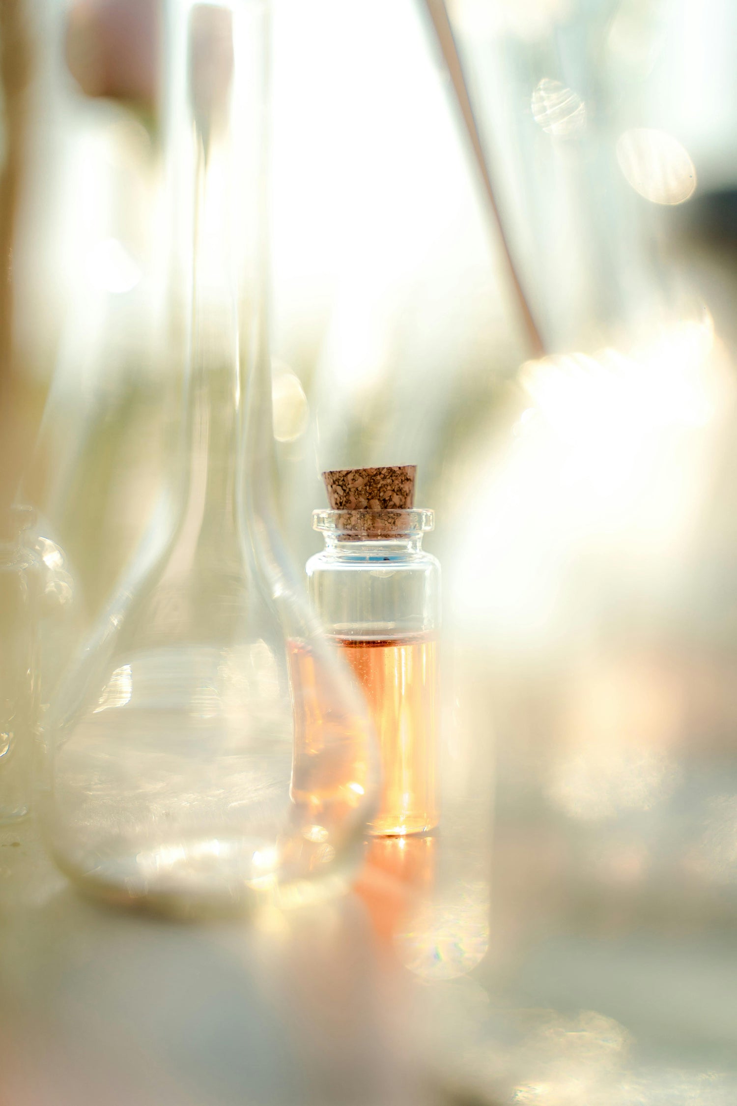 Best Perfume for Indian Summer: Fragrances That Survive the Heat
