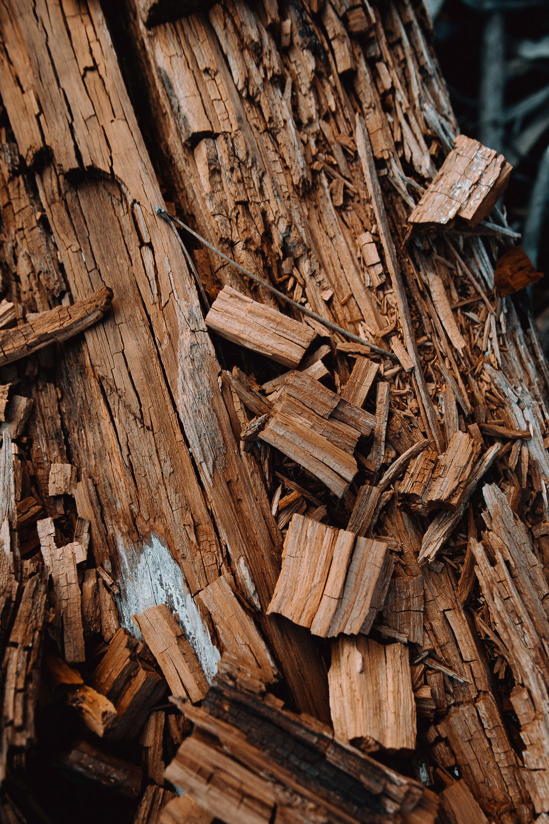 What Is Oud Perfume? A Complete Guide to Oud Fragrance