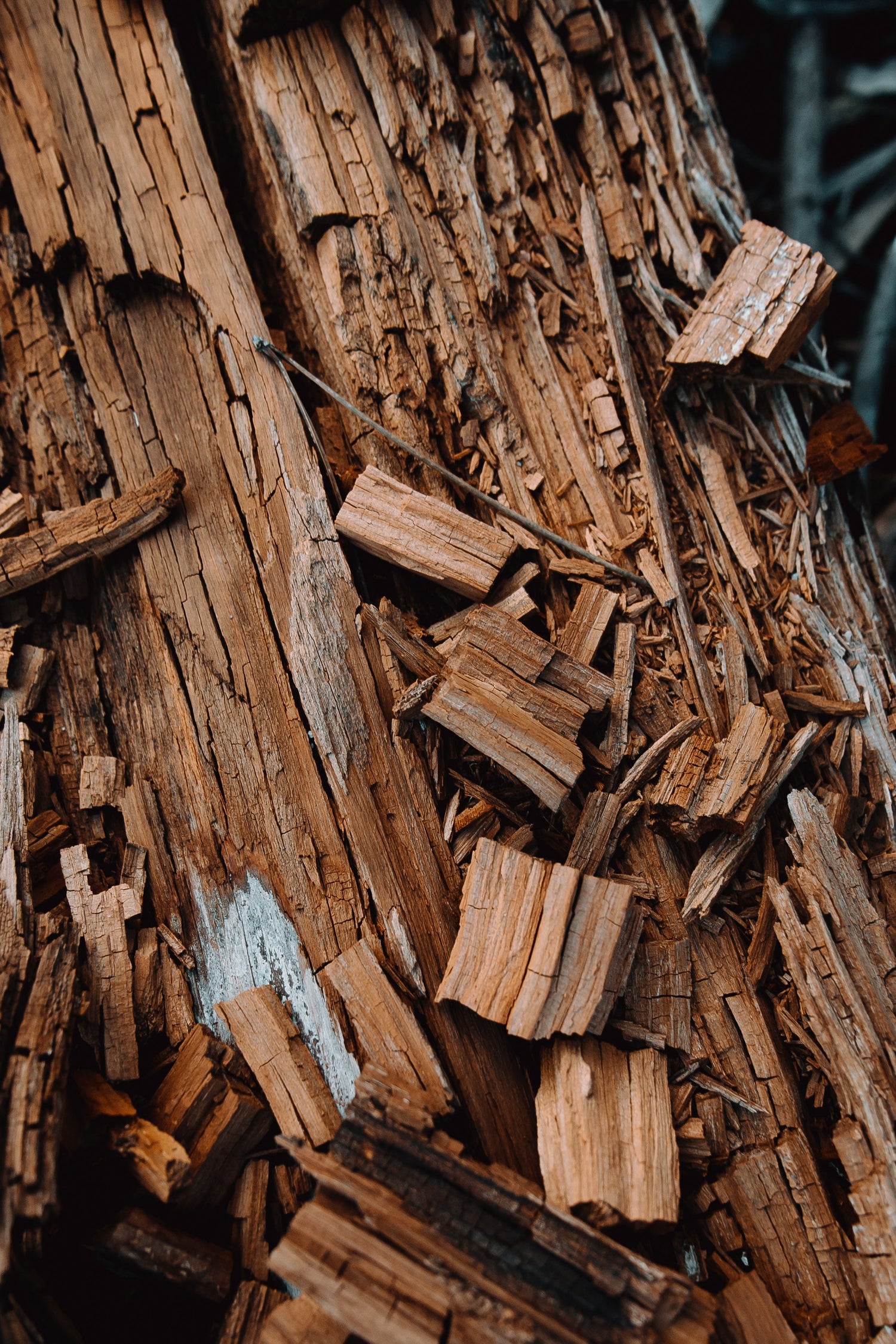 What Is Oud Perfume? A Complete Guide to Oud Fragrance